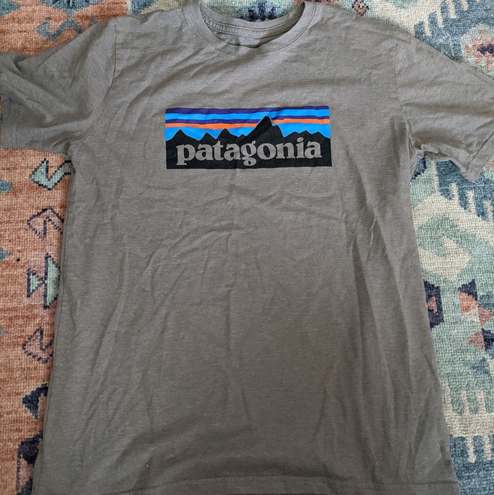 Patagonia Logo Tshirt